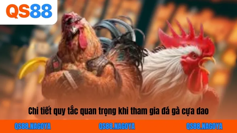 Chi tiết quy tắc quan trọng khi tham gia đá gà cựa dao